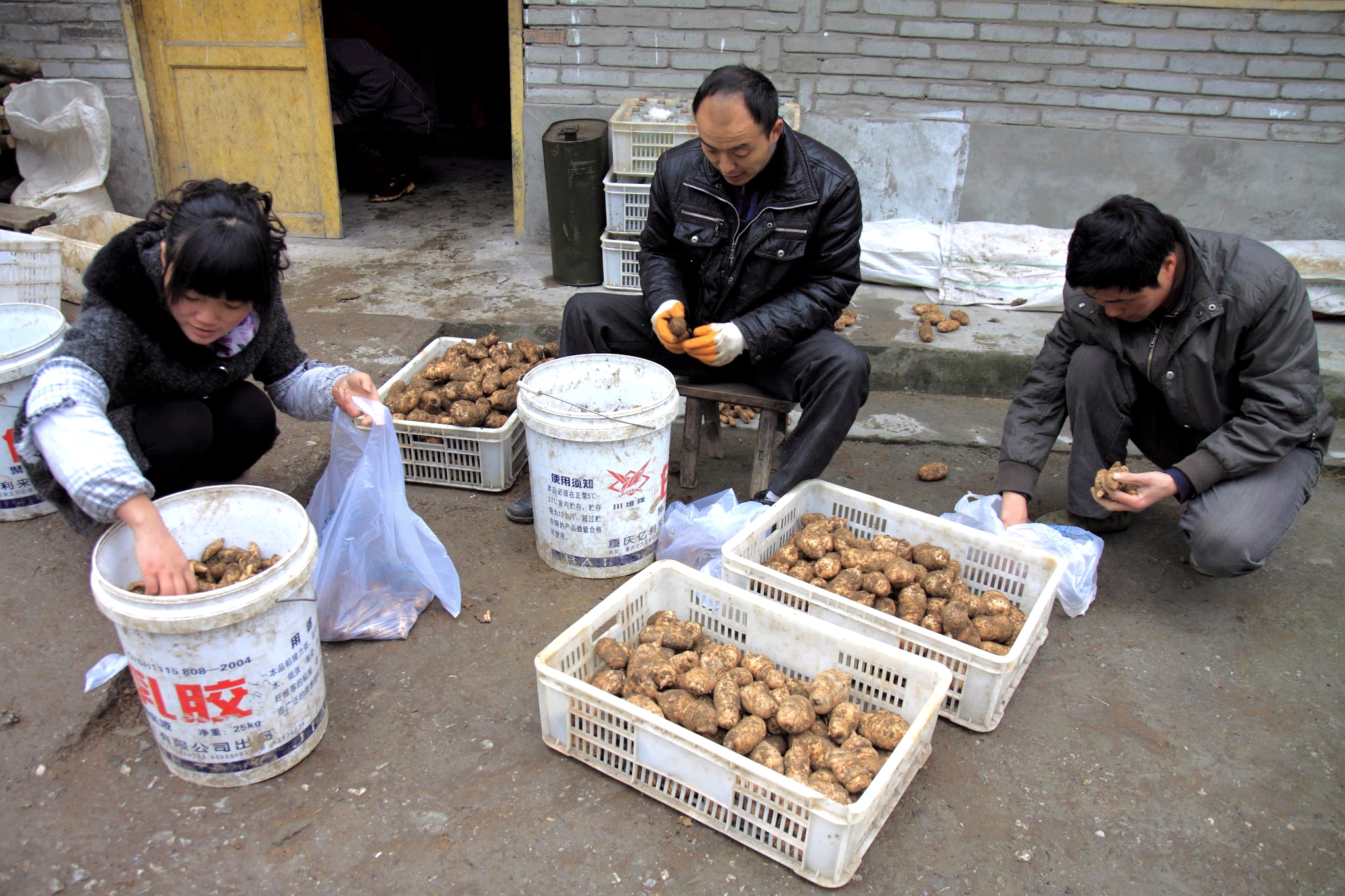 1bfe121cc7c74aa1a88f02fda13df661.jpg