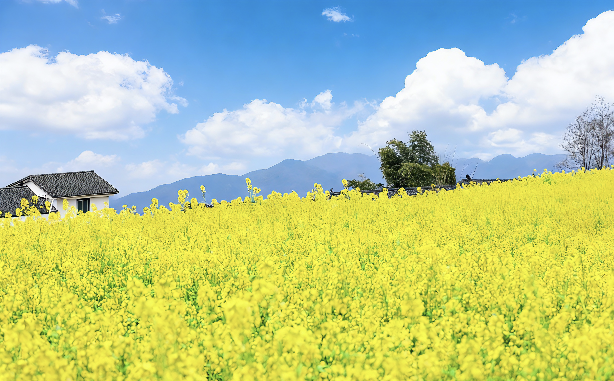 b013ea992812411aa97696fe3750407c.png
